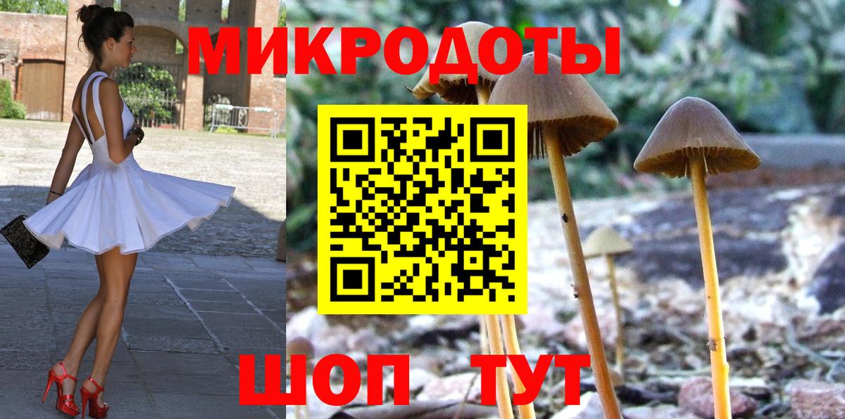Галлюциногенные грибы Cubensis Алексеевка