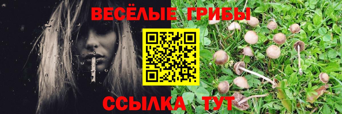 Псилоцибиновые грибы Psilocybine cubensis  Вход с VPN  что такое наркотик  Алексеевка 